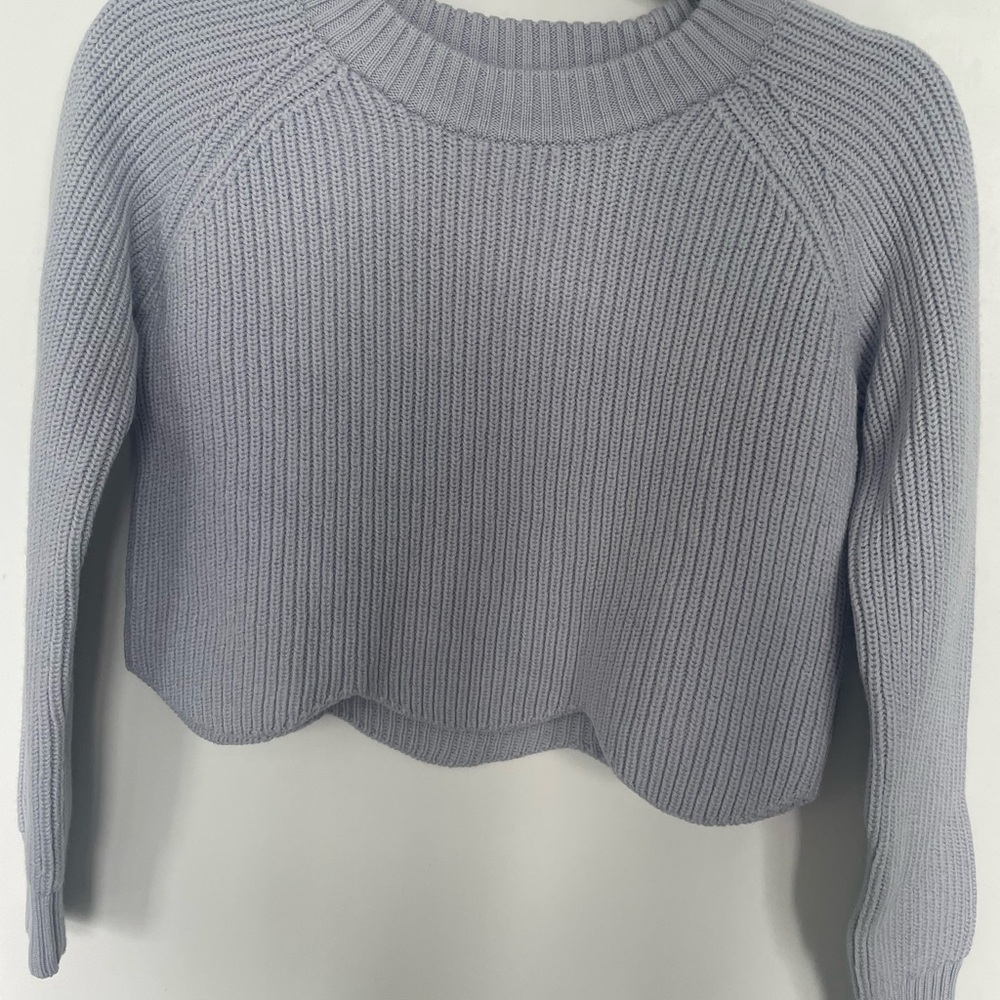 Aritzia/ Wilfried Sardou Sweater